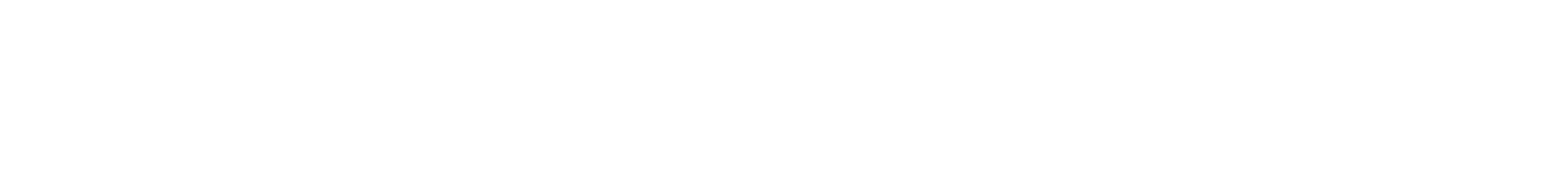 Microsoft Partner-Logo
